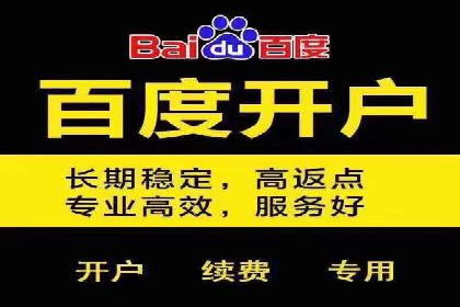 百度推广的关键词策略——成功案例解读